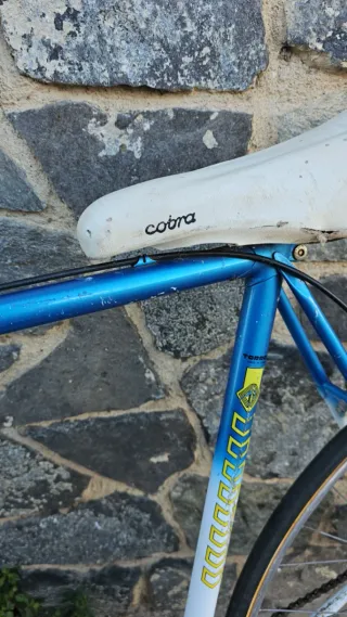 Bicicleta Clásica Torrot Azul y Blanca