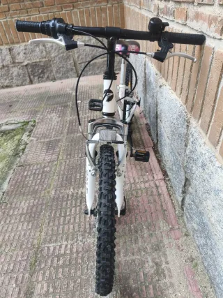 Bicicleta Infantil Avigo 20"