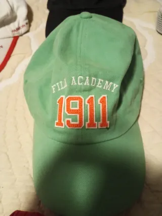 Lote de Gorras Variadas