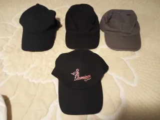 Lote de Gorras Variadas