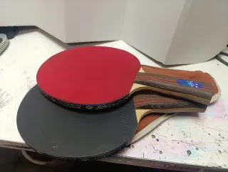 Palas de Ping Pong Schildkröt