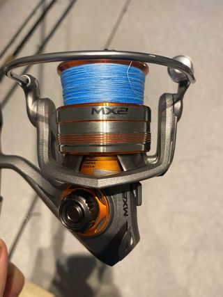 Lote de cañas depredadores