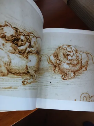 Leonardo da Vinci: Dibujos