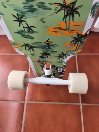 Longboard Negro con Diseño Palmera