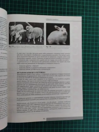 Zootecnica. Basi tecnico-scientifiche