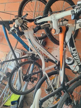 Bicicleta giant 250 Orbea 100 Trek 120