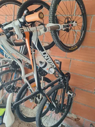 Bicicleta giant 250 Orbea 100 Trek 120