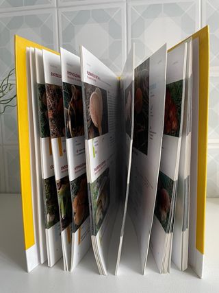 El gran libro de las Setas en Castilla y Leon