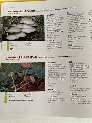 El gran libro de las Setas en Castilla y Leon