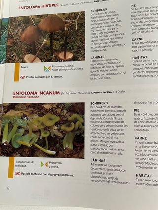 El gran libro de las Setas en Castilla y Leon