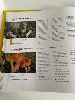 El gran libro de las Setas en Castilla y Leon