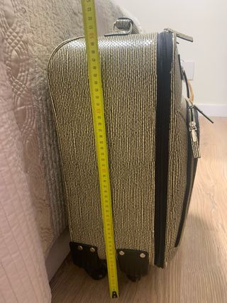 Maleta de cabina con rayas amarillas y negras