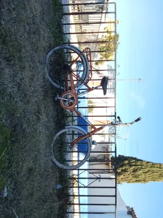 Bicicleta antigua te puede interesar