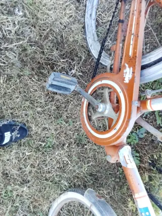 Bicicleta antigua te puede interesar