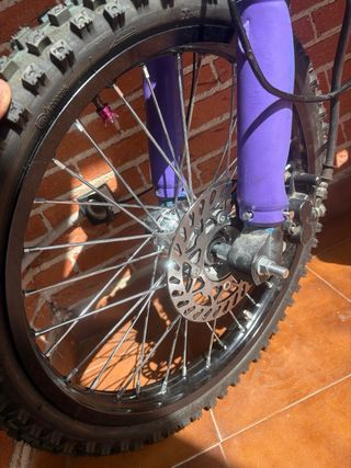 250cc Apollo Orion AGB 31 NUEVA 40H