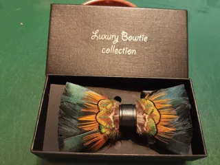 Pajarita de Plumas Verde y Naranja