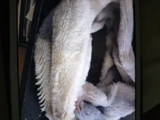 Bufanda / buf ideal también para moto