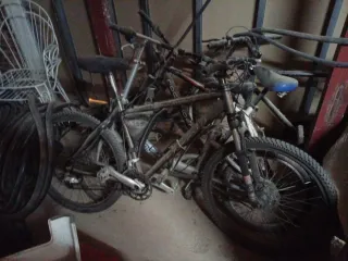 Bicicleta de Montaña b-pro de fibra de carbono