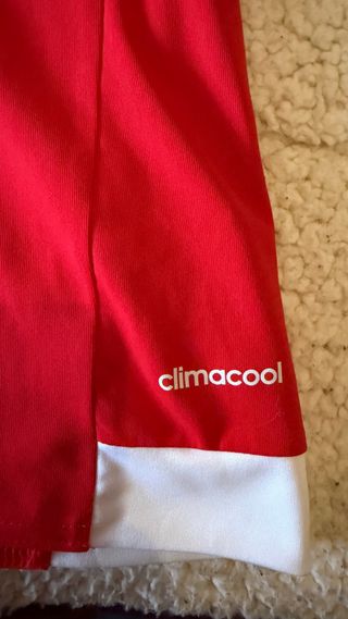 Camisola Benfica 15/16 Adidas