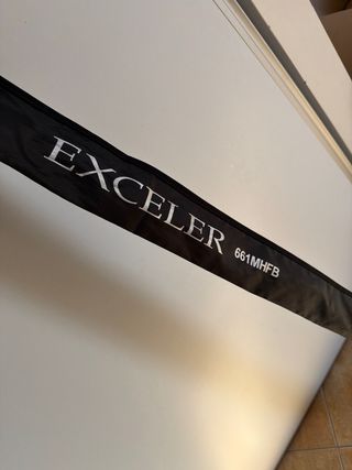 Caña de casting Daiwa Exceler