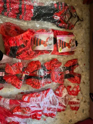 Disfraces Carnaval Niña