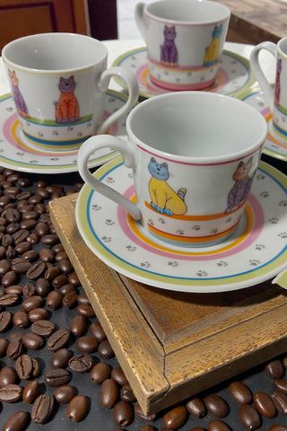 Set 6 Tazzine Fine Master Porcellana Gatti