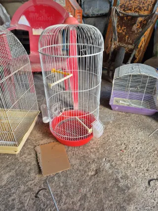 Jaula para loros blanca y roja