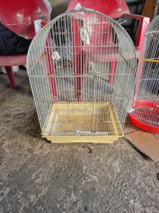 Jaula para loros