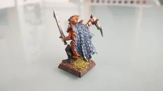 Corsario elfo oscuro n°1