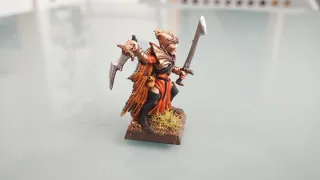 Corsario elfo oscuro n°1