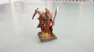 Corsario elfo oscuro n°1