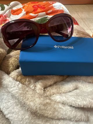 Gafas de sol estilo mariposa moradas