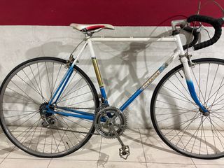 Bicicleta Alzania Clásica