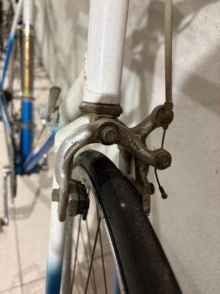 Bicicleta Alzania Clásica