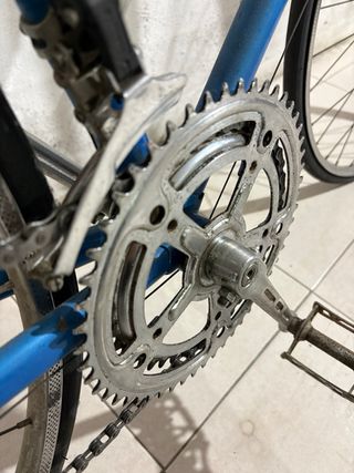 Bicicleta Alzania Clásica