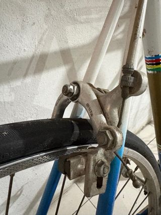 Bicicleta Alzania Clásica