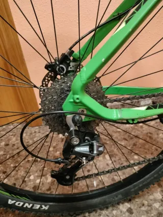 Bicicleta de montaña verde