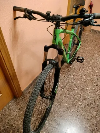 Bicicleta de montaña verde