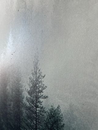 Cuadro Bosque Neblina