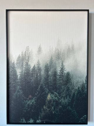 Cuadro Bosque Neblina