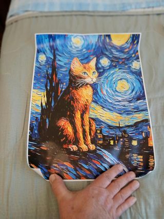 Stampa Gatto Arancione Notte Stellata