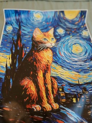 Stampa Gatto Arancione Notte Stellata