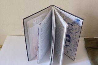 EL DIARIO DE CATHY (SIN LIMITES) (Spanish Edition)