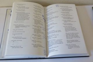 EL DIARIO DE CATHY (SIN LIMITES) (Spanish Edition)