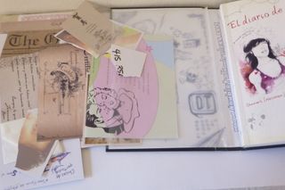 EL DIARIO DE CATHY (SIN LIMITES) (Spanish Edition)