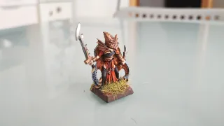 Corsario elfo oscuro de metal n°4