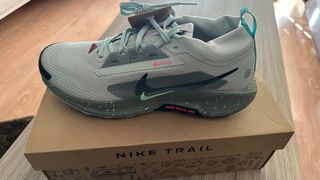 Nike Pegasus Trail 5 GTX Botas Trail Running
