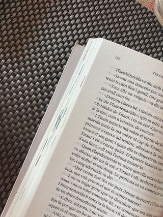 Tirant lo Blanc. Episodis amorosos. Text adaptat