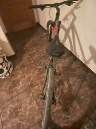Bicicleta de Montaña