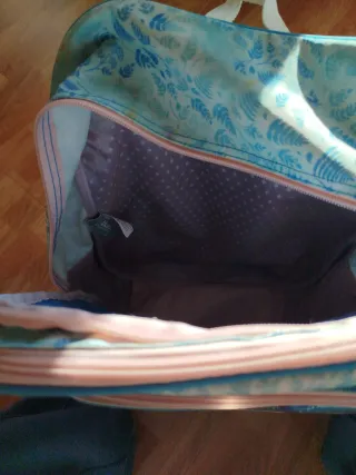 Mochila Escolar Frozen II